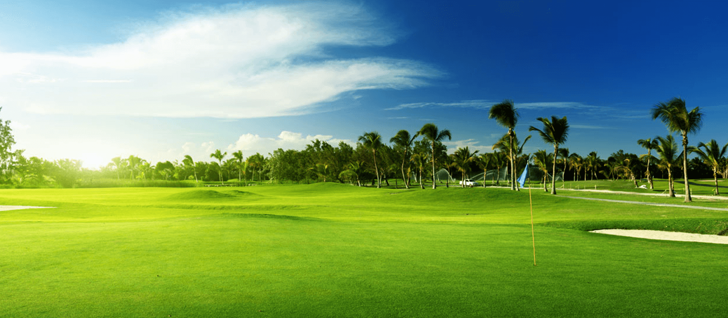 OGP Golf - Photo 2